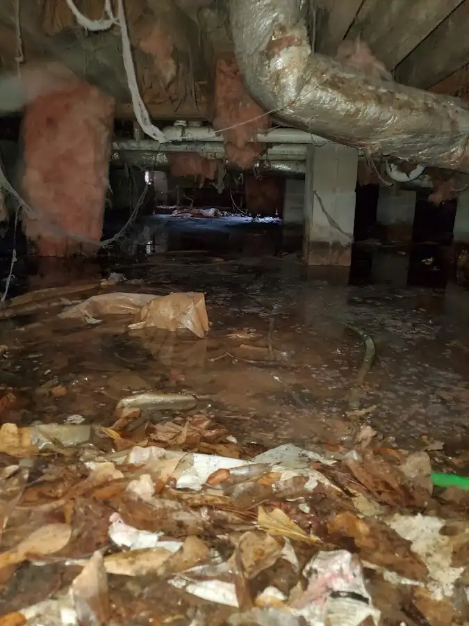 Crawl space flood assessment for Leak Detection & Repair in Capitola